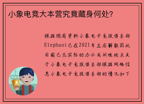 小象电竞大本营究竟藏身何处？
